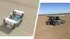 I 2019 testes to robotter – Agrointelli Robotti (til venstre) i et konventionelt system og Farmdroid i økologiske marker.