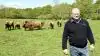 Skotsk Højlandskvæg er gode naturplejere, understreger Svend Nielsen, der på Fællinggaard ved Allested-Vejle har 73 »skotter«. De plejer naturen på den mest skånsomme måde. Og når de kun æder græs og urter, får kødet mere smag.