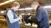 I foderplanen har mælkeproducent Martin Agesen fra Vestervig udskiftet to kilo soja med to kilo hestebønner, som han får toastet ved Nordvest Foder af Peter Lund Thomsen.