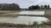 Foto: Djursland Landboforening