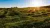 AgriFoodTure investerer tocifret millionbeløb i 11 grønne innovationsprojekter. Foto: AgriFoodTure