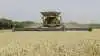 Verden største mejertærsker, New Holland CR11.