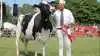 Miss Sjælland – Sjællands smukkeste malkeko:
Holsteinko fra Gert Bülow ved Allindelille nord for Ringsted. Sønnen Rasmus Bülow står her med vinderkoen, der også blev kåret som publikumsfavorit.