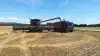 Arkivfoto: Firstfarms