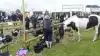 Lørdag den 15. juni er der MidtWest Farmshow. Arkivfoto