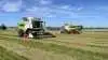 Thomas Jørgensen forventer, at de to nye Claas Lexion 8800 TT kan æde sig gennem 20 hektar engrapgræs om dagen. Foto: Hestehavegaard