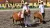 Den ærefulde titel »Bedste Horsemanship« med tilhørende præmie og plakette fra Hestens Værn gik i år til Frank Nielsen fra Tommerup her med shetlandshoppen Olympia Brøis med føllet Dalens Astrid, der modtog »Følfadet« overrakt af Catharina Reventlow-Mourier. Fotos: Camilla Bønløkke
