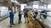 For Christian Lohmann Petersen handler god mælkeproduktion først og fremmest om dyrevelfærd. Med stabile forhold, fokus på trivsel og målrettede tiltag som Digestarom Dairy sikrer han, at køerne på Skovbakkegård har det godt og præsterer derefter.