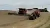 Case IH AF10 stiller som andre stormejetærskere krav til logistikken og kører bedst sammen med en sneglevogn og et par lastbiler. Fotos: Kasper Stougård 