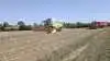 I sidste uge anskaffede svineproducent Mikkel Grubbe sig denne 22 fods Claas Lexion 650 fra 2011, og en uge senere er alt korn og raps bjærget på ejendommen ved Ørbæk og på nabogården, som sønnen overtog 1. juli. Fotos: Erik Hansen