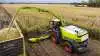 Claas Jaguar 1200 er den største model i den nye 1000-serie med op til 1.110 hestekræfter og en kapacitet på op til 500 ton i timen. På billedet kører den i majs med det nye Orbis 1050-majsskærebord, der har stor arbejdsbredde og effektivt kan håndtere store mængder afgrøde. Skærebordet er optimeret til præcist snit selv ved høj fremkørselshastighed og ujævnt terræn, hvilket øger både kapacitet og kvalitet. Foto: Claas