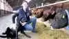 På landbrugsområdet er der udskiftning i form af Yke W. Kloppenburg-Oosterwoud (billedet), gårdejer og kvægbruger, der går ud af rådet, mens Trine Vig, veterinærpolitisk chef i Landbrug & Fødevarer, kommer ind. Arkivfoto