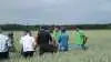 Foto: Agrovi