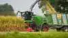 Skiftende markforhold og sortsforskelle kan betyde, at corn-crackeren skal justeres mange gange i løbet af en arbejdsdag. Med Forage Quality Cam kan Agco konstant levere informationer til snitterpiloten om kvaliteten af kerneknusningen. Foto: Agco