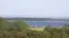 Der er løbet alt for meget spildevand i vandløbene ved Nyborg fra overløb. Samtidig har den nye trepartsaftale ved Storebælt et sigte mod at fjerne udledninger fra landbruget til blandt andet Holckenhavn Fjord. Arkivfoto