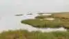 Ved Knudedyb i Vadehavet skal ca. 690 hektar landbrugsjord tages ud af drift som led i den grønne treparts akutpakke. Arkivfoto