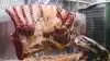 J. N. Meat International ApS er en produktionsvirksomhed af kødprodukter med base i Slagelse. Foto: Colourbox