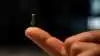 Carlsberg har lanceret verdens mindste øl med højde på 12 millimeter og et indhold på 0,005 centiliter øl. Foto: Carlsberg
