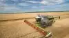 De fire nye Lexion-mejetærskere består af en Lexion 5000-serie og en Lexion 6000-serie, begge rystemaskiner, mens Lexion 7000-serien og Lexion 8000-serien er rotormaskiner. I alt syv hybrid- og seks rystemaskiner i effektklassen fra 313 til 790 hk. Der er brugt over én million udviklingstimer gennem de sidste ti år på at udvikle og teste de fire nye Lexion-seriemejetærskere.