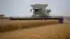 På Skinnerupgaard ved Thisted har Thomas Kristoffersen taget en CLAAS LEXION 8900 TT i brug efter mange år med et andet mærke. Første sæson har især budt på enkel betjening, høj driftssikkerhed og en flot råvare i tanken.