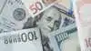 Dollaren står stærkt, mens euroen presses. Forskellen i økonomisk styrke mellem USA og Europa bliver stadig tydeligere. Foto: Colourbox
