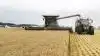 På samme mark på Nordskov ved Ringe, hvor Ideal-mejetærskerne sidste år blev præsenteret af Agco i hvedehøst den 15. juli, høstede Claus Nielsen med den nye MF Ideal 7 med 35 fods skærebord i går fremavlsbyg af sorten Planet. Traktorfører med kornvognen er hans 83-årige far, Erik Nielsen. Fotos: Erik Hansen