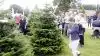 Hver den tredje torsdag i august samles fagfolk i juletræsbranchen fra hele Europa til Langesømessen ved Odense. På torsdag kan de forventede 3.000 besøgende glæde sig til en række nye tiltag såsom et skovspor, foredragstelt og en ny indgang. Arkivfoto 

