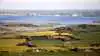 En ny plan for Odense Fjord lægger op til mere målrettet arealomlægning, hvor vådområder, lavbund, skovrejsning og fjordnære hotspots skal reducere tilførslen af næringsstoffer. Arkivfoto