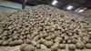 Kartoffelvirksomheden Flensted Food Group har investeret trecifret millionbeløb i fordobling af sin kapacitet for at være mere konkurrencedygtige. Arkivfoto: Tenna Bang
