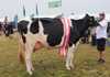 Blandt de yngre holsteinkøer gik fløjen til Barolo-datteren fra I/S Vinum Dairy i Vinum. Også den fik 24 point.