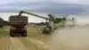 Mens flere kraftige regnbyger trak ind over landet tirsdag, knoklede de to Lexion 8700 TT fra Hanghøj på Mors videre med rapshøsten i Thy. Men heller ikke Thy gik fri. Fotos: Kasper Stougård