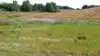 I det moderate scenarie beregnes et behov for at tage 452.814 hektar ud af produktion. Uden andre virkemidler end brak stiger tallet til 883.995 hektar. Arkivfoto