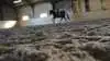 Jemo Equine har anlagt cirka 100 baner med EFS kokosnøddefiber. Foto: Camilla Bønløkke
