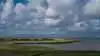 Der er et stort kvælstofreduceringsbehov ved Ringkøbing Fjord, men foreløbig er trepartsprojekterne sat på pause i området. Arkivfoto