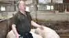 Mikael Rabjerg driver sammen med René Lomholt soholdet på Østerbjergegård ved Sønder Felding. Regeringens varslede begrænsning af udvidelser i griseproduktionen kan ifølge Mikael Rabjerg bremse bedriftens planer om at udvide soholdet. Fotos: Camilla Bønløkke