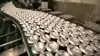 Foto: Colourbox