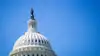 Danske fødevarevirksomheder rykker ind på Capitol Hill for at styrke USA-eksporten, der i 2025 nåede 8,4 milliarder kroner. Arkivfoto: Daniel Barber