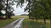 Der er i alt 640 hektar i markplanen. Godset på det sydøstlige Langeland ejer dog også en hel del fredskov samt krat, eng og strand.
