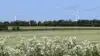 Arkivfoto: Anne Wolfenberg