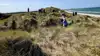 Kødkvægsforeningen Vendsyssels sommertur gik i år til Læsø med naturpleje og afgræsning på programmet. Fotos: Kødkvægsforeningen Vendsyssel