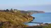 Bornholm er andet og mere end natur og turisme. Det er også dygtige svineproducenter med styr på dyrevelfærden. Foto: Colourbox