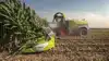 Claas Jaguar 1200 i majsen med det 12 meter brede Orbis 12000-majsskærebord. Til modelår 2027 kan Jaguar 1000-serien udstyres med knivovervågning, der giver føreren besked, når snittercylinderens knive bør slibes. Pressefoto
