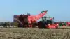 Grimme Evo 280 følger her efter Toppa 200 Offset-aftopperen, som er en nyhed fra Grimme, der har potentiale til at øge kapacitet og reducere spild. Fotos: Kasper Stougård