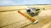 Den nye Lexion-generation fra Claas tæller 14 forskellige modeller, lige fra 313 til 790 hk motor, og som her op til 46 fods skærebord. De nye Lexion præsenteres i den kommende tid ved arrangementer hos samtlige Claas-forhandlere.