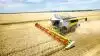 Den nye Lexion-generation fra Claas tæller 14 forskellige modeller, lige fra 313 til 790 hk motor, og som her op til 46 fods skærebord. De nye Lexion præsenteres i den kommende tid ved arrangementer hos samtlige Claas-forhandlere.
