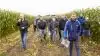 150 landmænd var onsdag til Grovfoderdag ved Agri Nord. Her fik de klar besked: majsplanterne skal have startgødning.