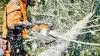 STIHL lancerer et helt nyt koncept inden for sværd og kæder. Ifølge producenten har den nye .325” PRO-kæde har op til 20 procent højere skæreeffekt sammenlignet med sin forgænger.