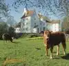 Sønderskov Slot nær Brørup i Sydjylland danner den smukke ramme om årets Limousineauktion, der finder sted på lørdag den 21. marts.