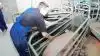 Goodvalley driver svineproduktion på 34 farme i Polen, Ukraine og Rusland. Arkivfoto