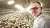 Formand for L&F Fjerkræ, Martin Hjort Jensen, fortæller, at kravet om øget udnyttelse af husdyrgødning svækker fjerkræproducenters mulighed for at producere eget foder. Foto: L&F